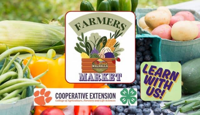 flier for Learn with us at Walhalla market