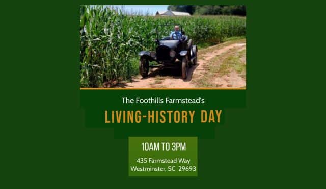 flier for Living History Day