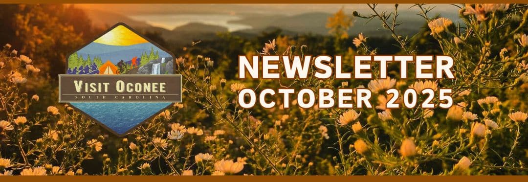 header image October news