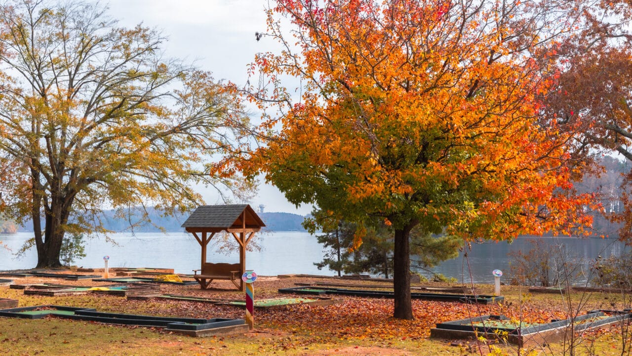 Vibrant fall colors of a tree by a lake in Oconee County, perfect for a scenic mountain hike and familyfriendly exploration.